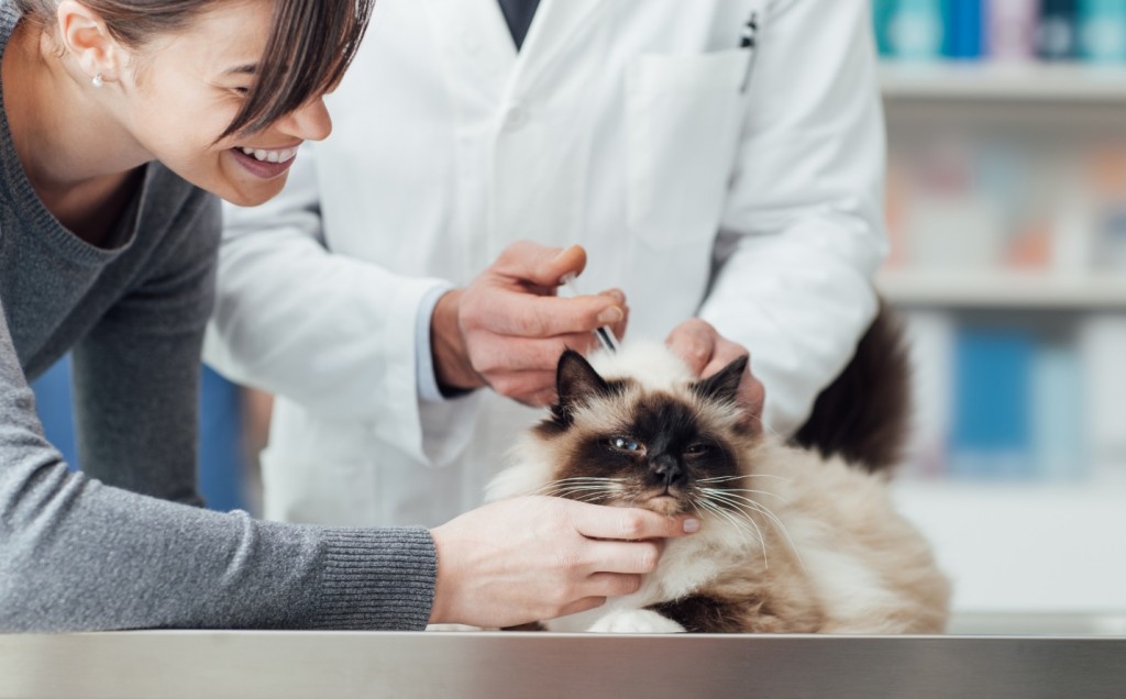 Talk-to-your-pet-about-the-vaccines