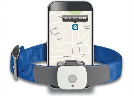 pet-trackers-for-your-pet