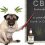 CBD Oil – A Miraculous Treat for Your Dog