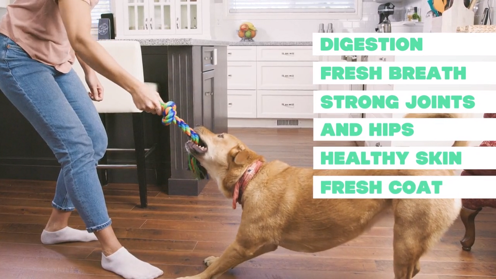 The Natural Super Booster for Dogs