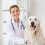 Necessary Things to Become a Professional Abbotsford Veterinary Surgeon