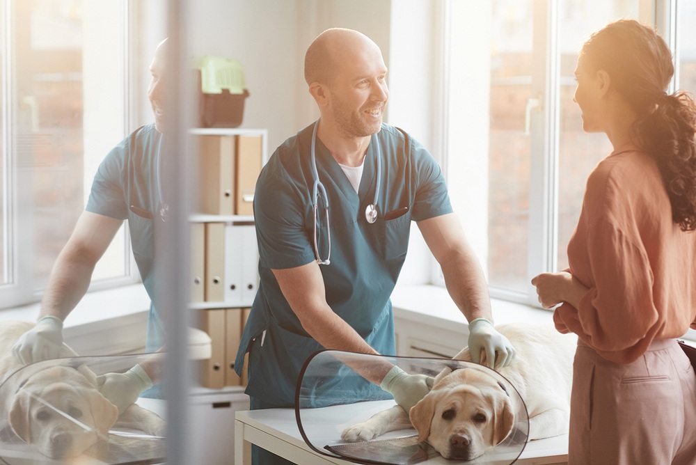 7 Qualities to Look For in a Veterinarian